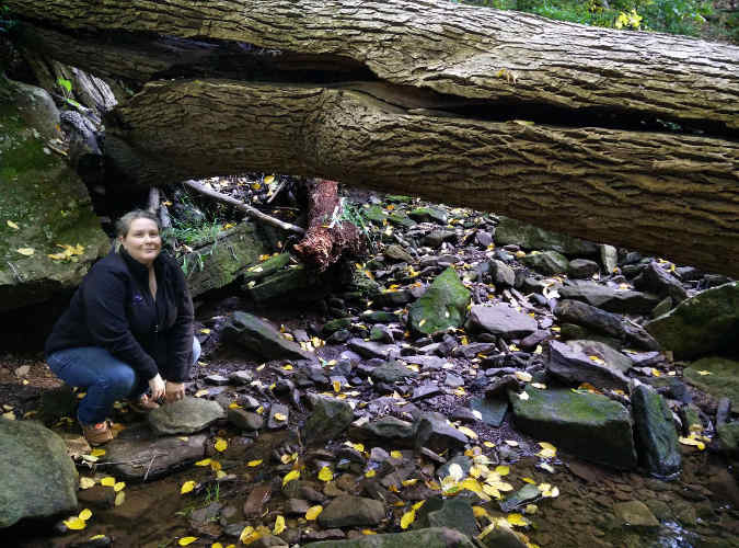 Athennia at Tyler State Park