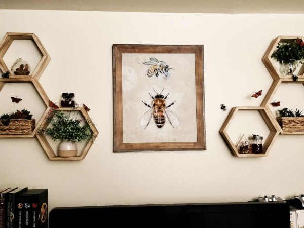 Honeycomb decor
