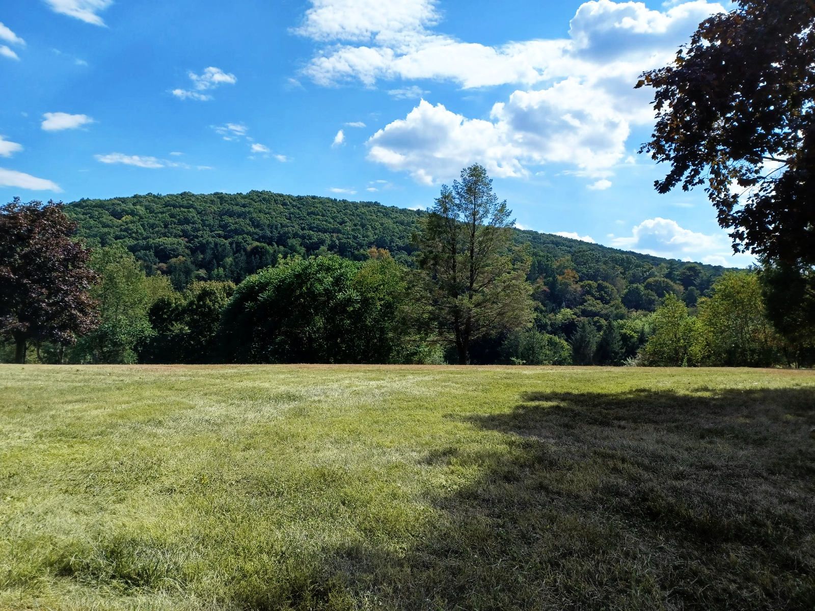 On Reunions and Royalty