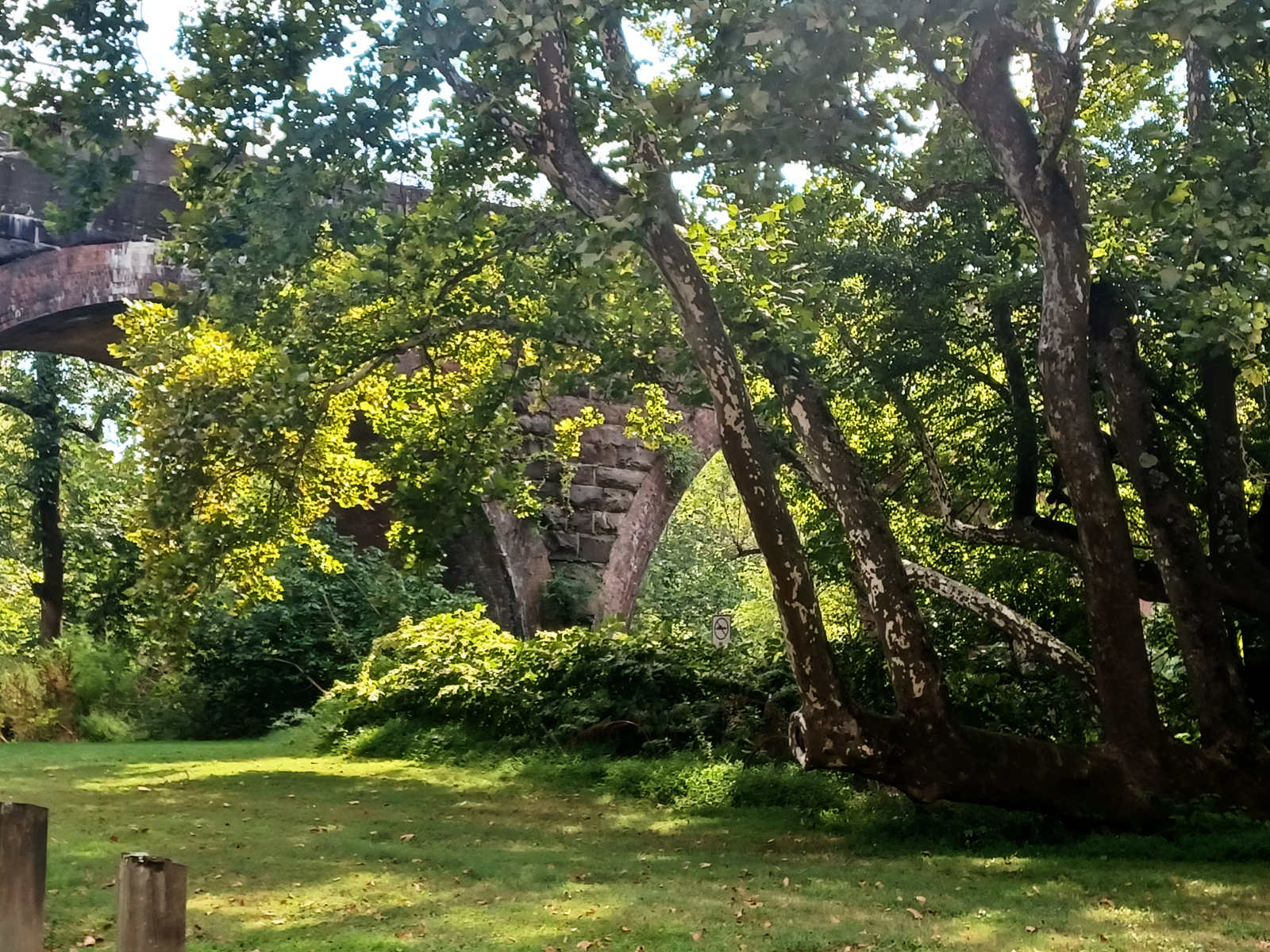 The Most Magical Place