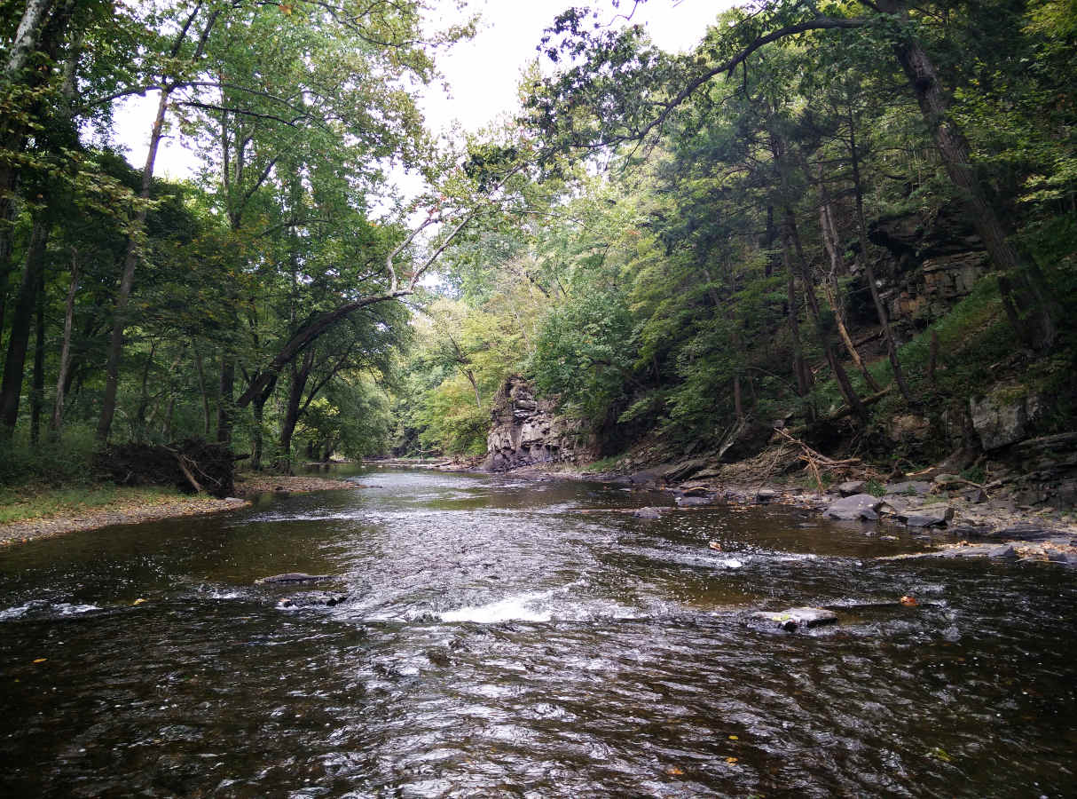 A De-Bunking and a Dark Hollow