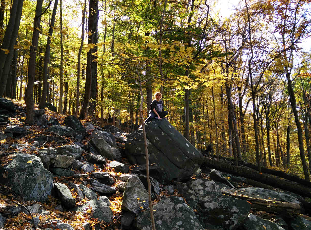 Let's Party, Then Let's Idle