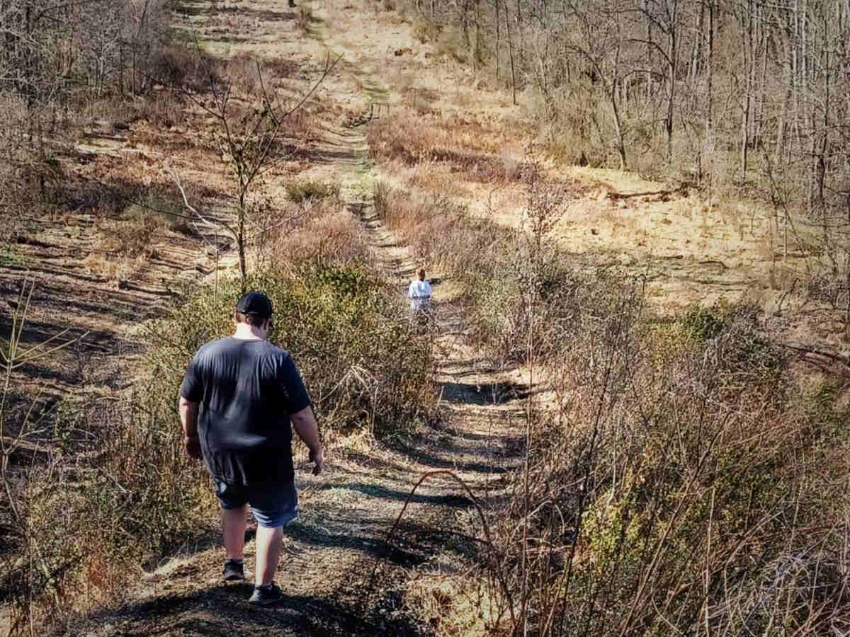 Through a Hollow, Darkly