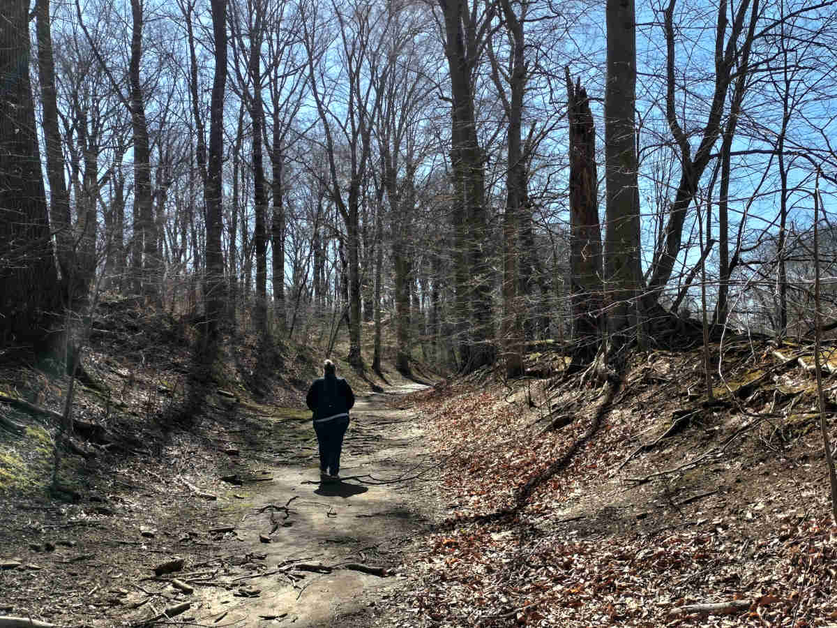 Where Angels Fear to Tread