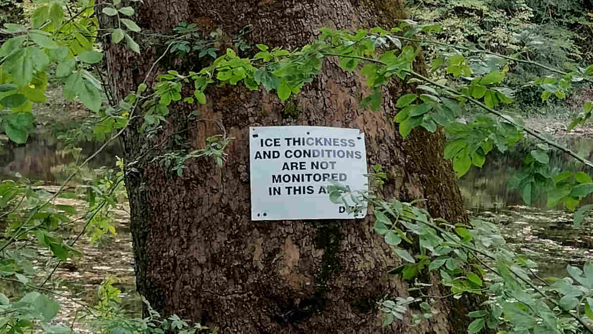 Burgers, Kings, Mustaches, and Warnings