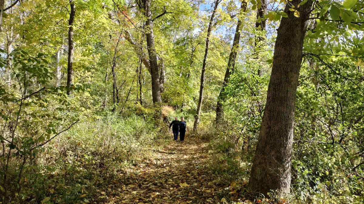 Hollow Darkness, My Old Friend