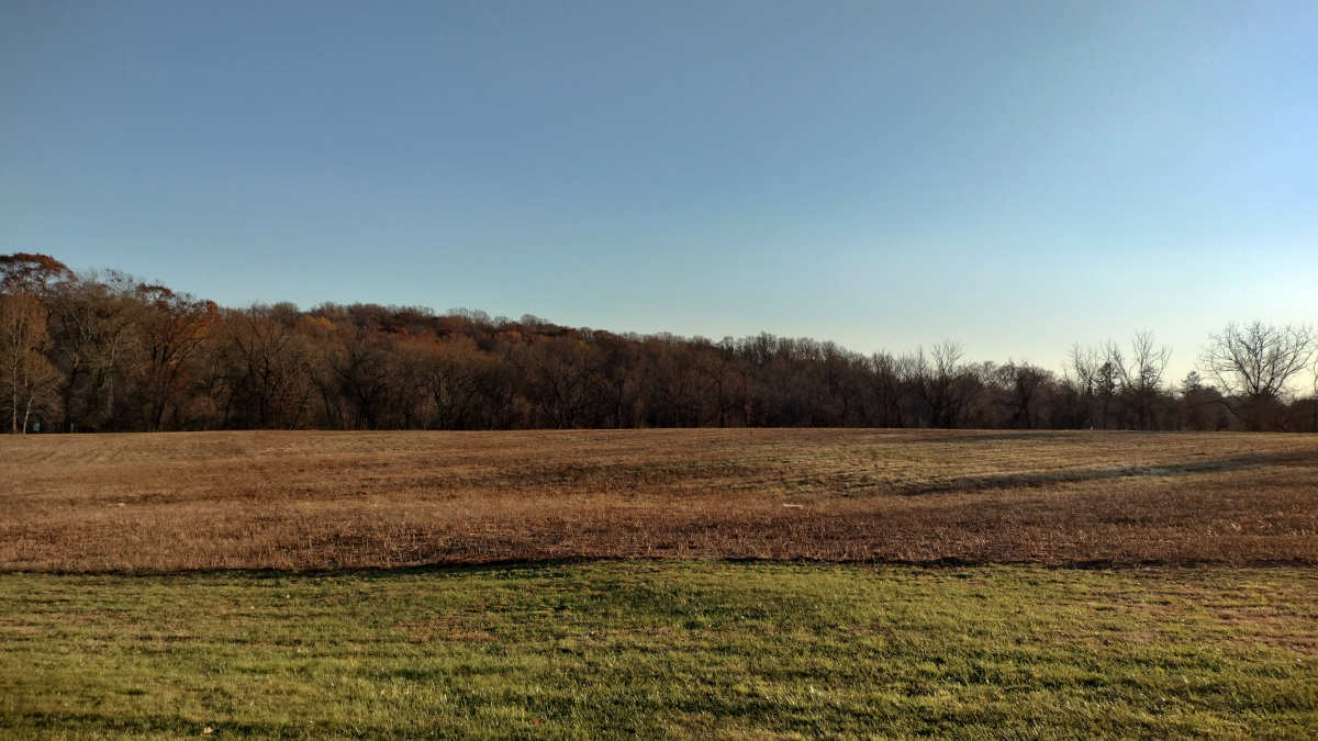 Betting the Farm, or Buying It?