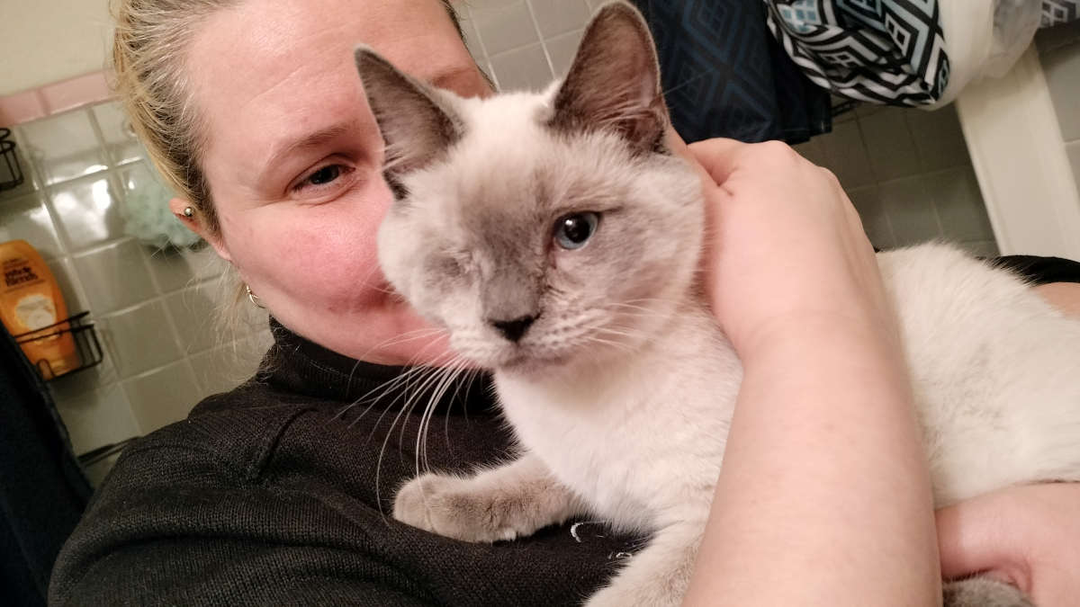 He Is Siamese If You Please...