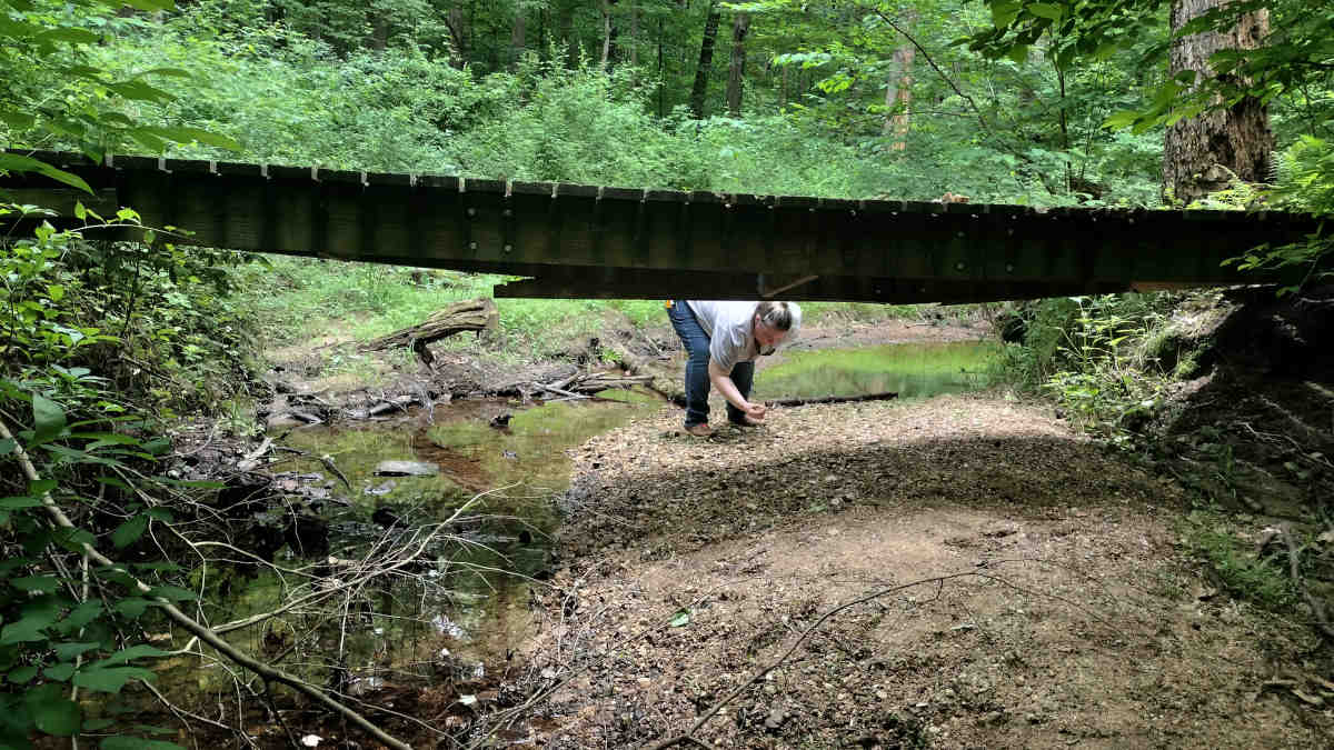 Check for Ticks, and Tick-Tick on the Check