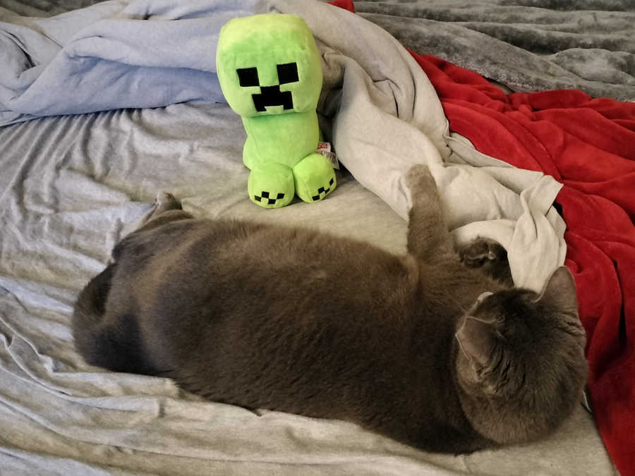 I Got It at Ross... And Ross... And Ross