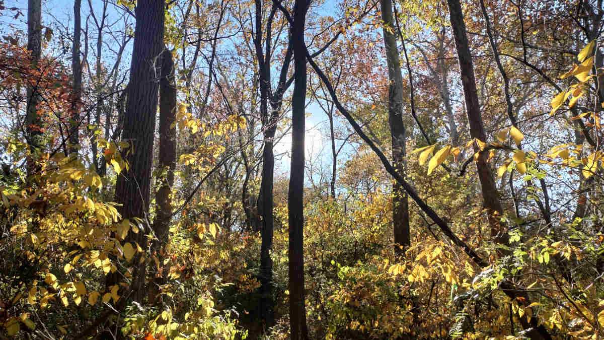 A Date for Riley, A Date for Us