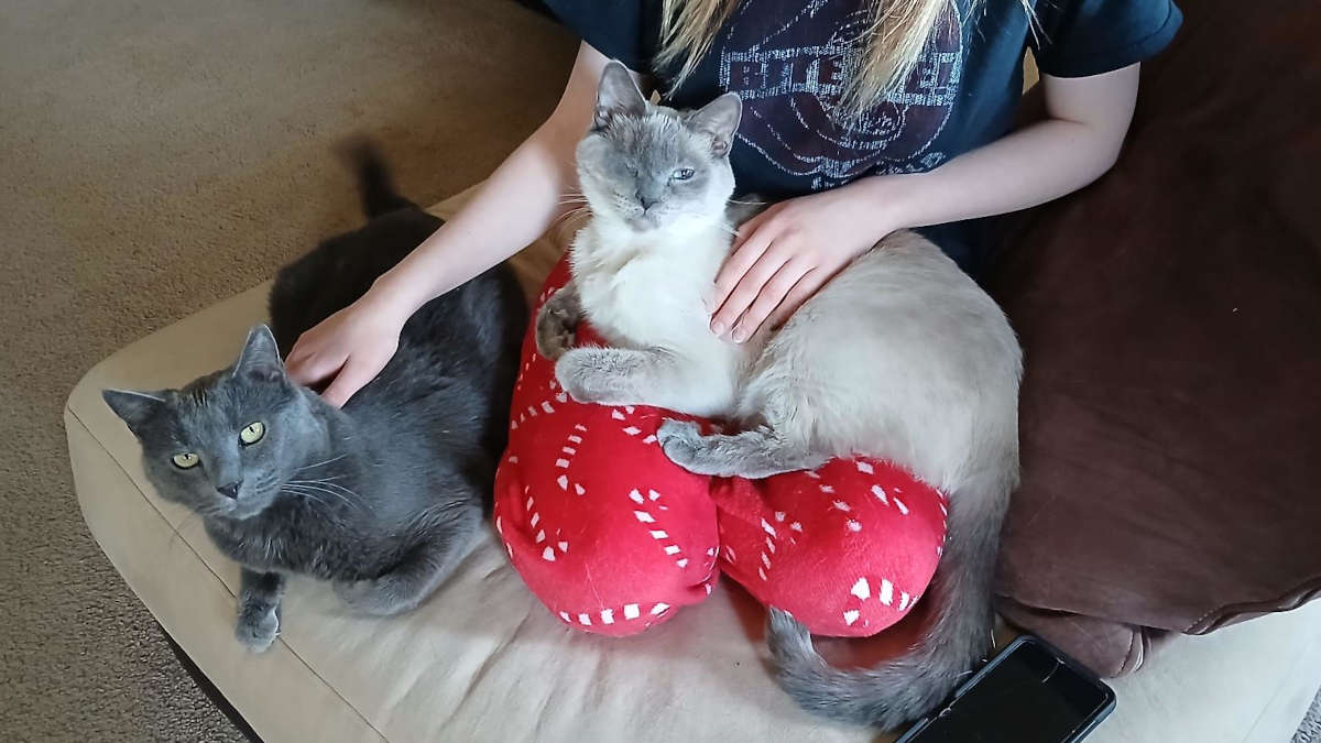 Two Flu over the Cuckoo's Nest