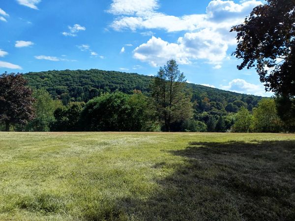 On Reunions and Royalty