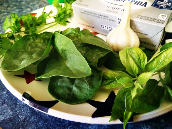 Family Fourth of July Party