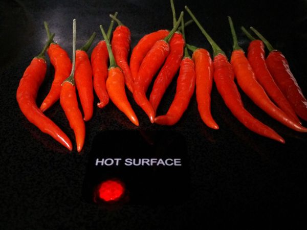 The Wintergarden: Autumnal Equinox Update