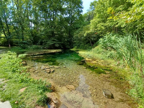 Spring Forward, Fall... Forward