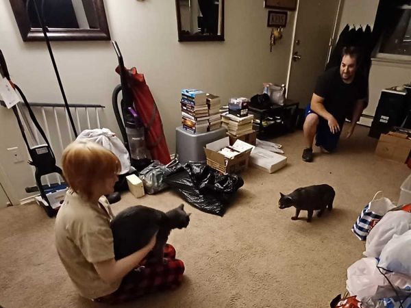 Hurry Up and Wait...