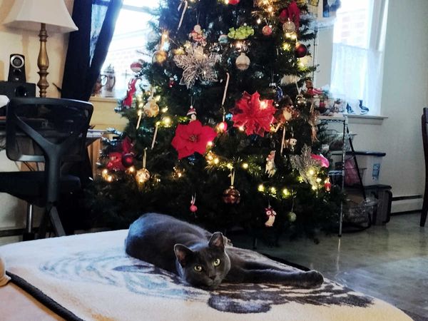 Our First (and a Half) Christmas!