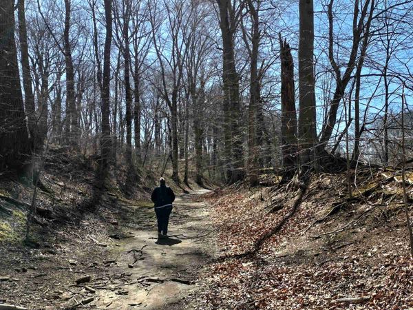 Where Angels Fear to Tread