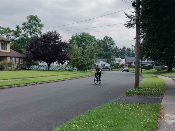 A Dog Day Afternoon, Then 13 More