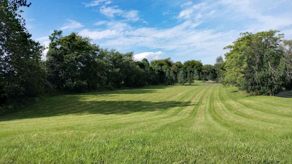 Land of Bilk and Money