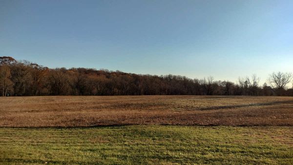 Betting the Farm, or Buying It?