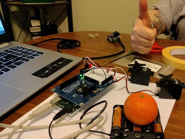 Playin' Fast and Loose in the Hackers' Nest