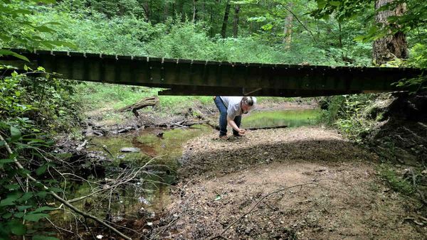 Check for Ticks, and Tick-Tick on the Check