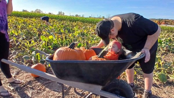 Progress, Pumpkins, and a Party