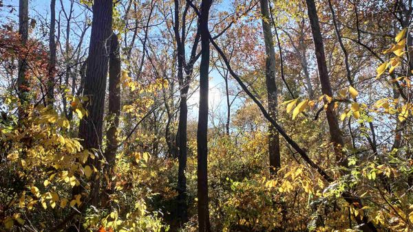 A Date for Riley, A Date for Us