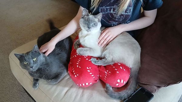 Two Flu over the Cuckoo's Nest