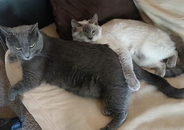 Business in the Front